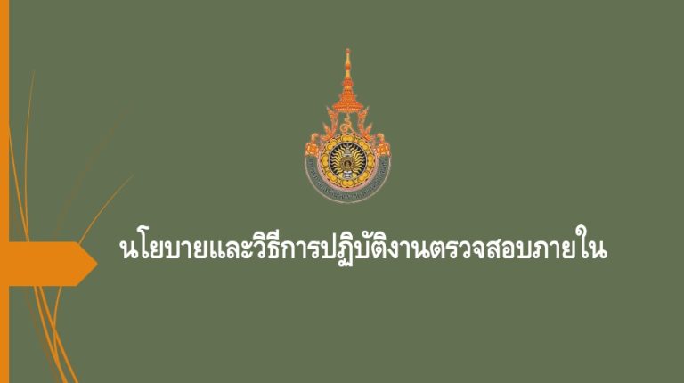 นโยบายและวิธีการปฏิบัติงานตรวจสอบภายใน